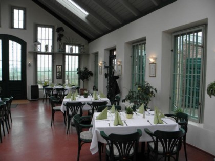 照片: Palmenhaus Café